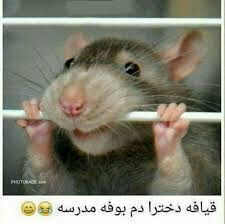 برای مشاهده کلیک کنید
