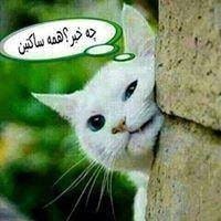 برای مشاهده کلیک کنید