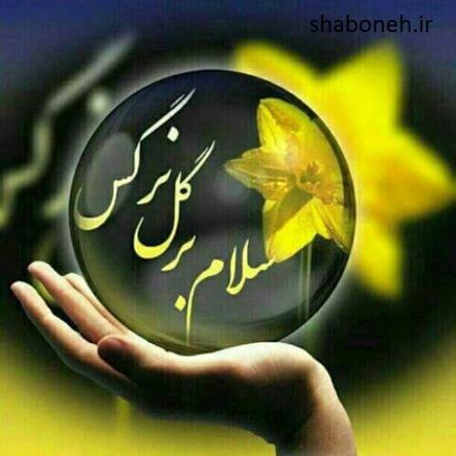 برای مشاهده کلیک کنید