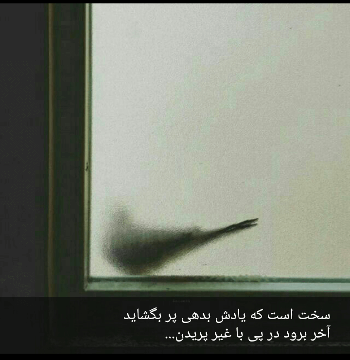 برای مشاهده کلیک کنید