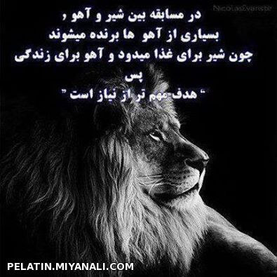 برای مشاهده کلیک کنید