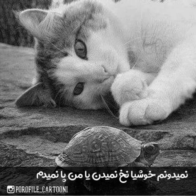 برای مشاهده کلیک کنید