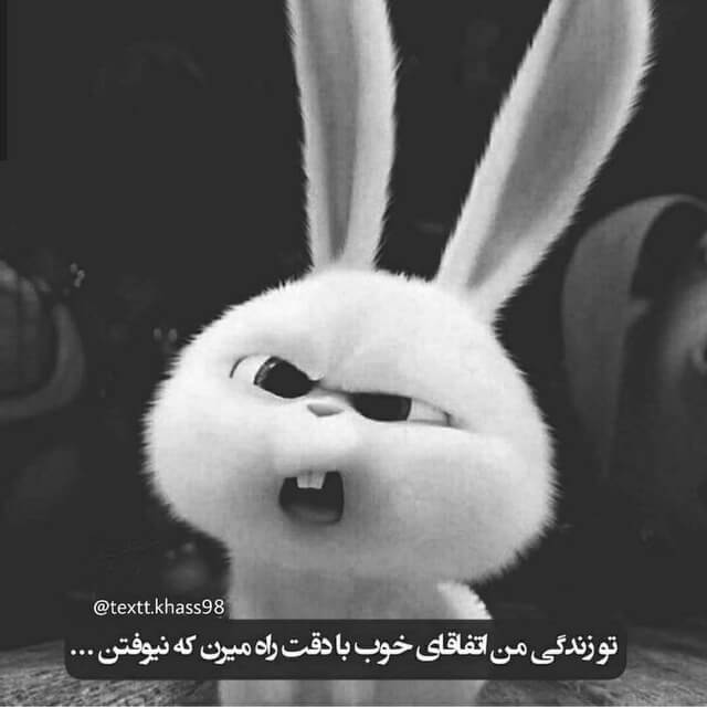 برای مشاهده کلیک کنید