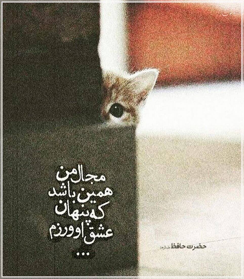 برای مشاهده کلیک کنید