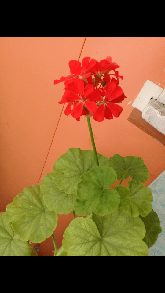 برای مشاهده کلیک کنید