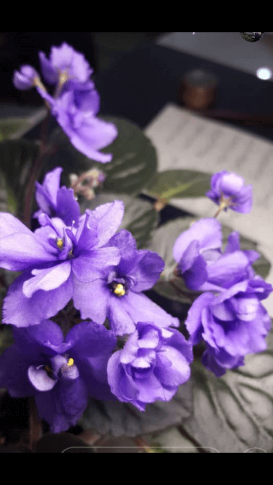 برای مشاهده کلیک کنید