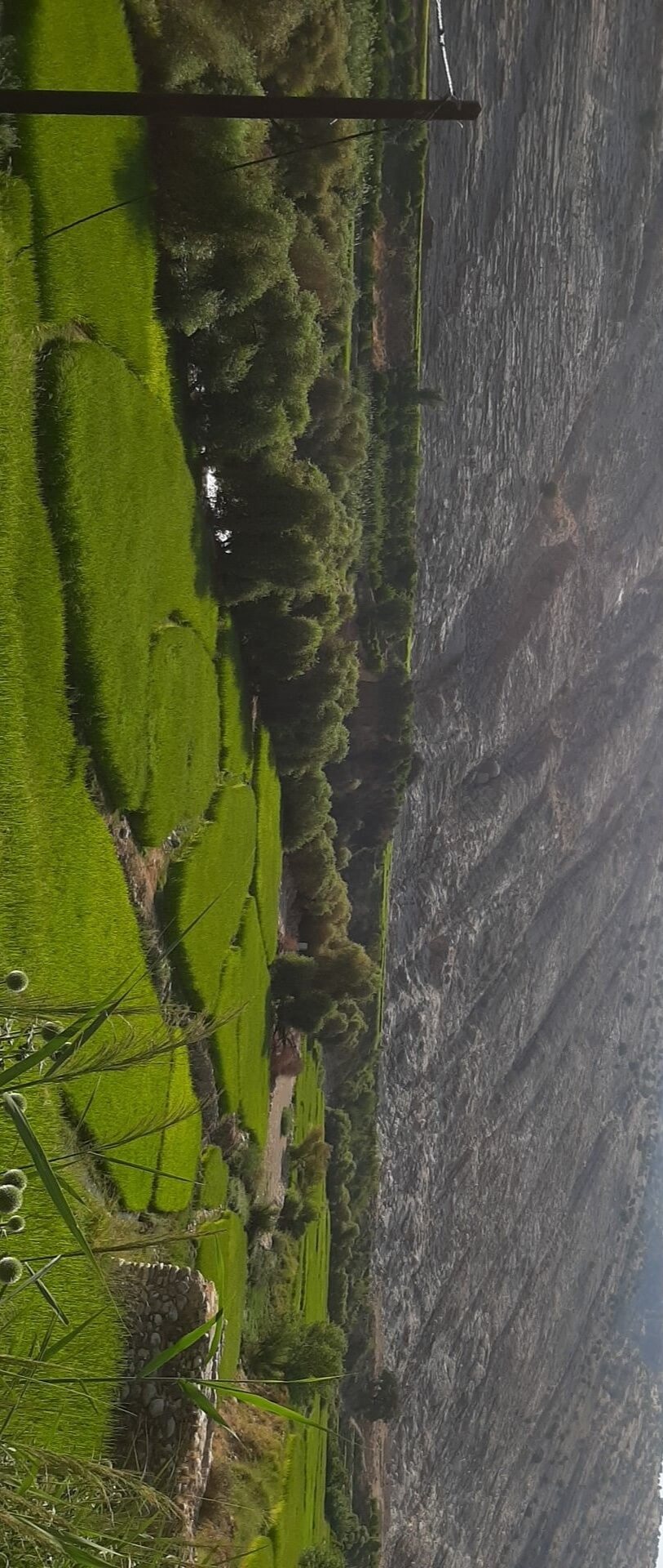 برای مشاهده کلیک کنید