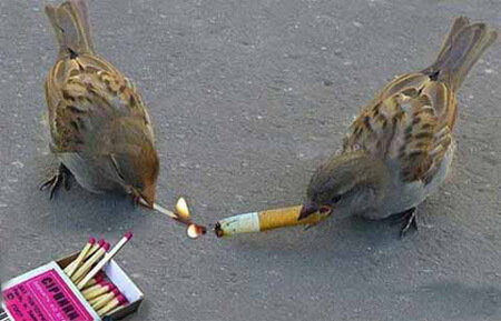 برای مشاهده کلیک کنید
