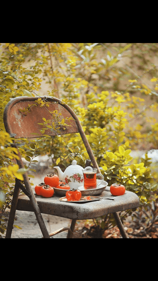 برای مشاهده کلیک کنید