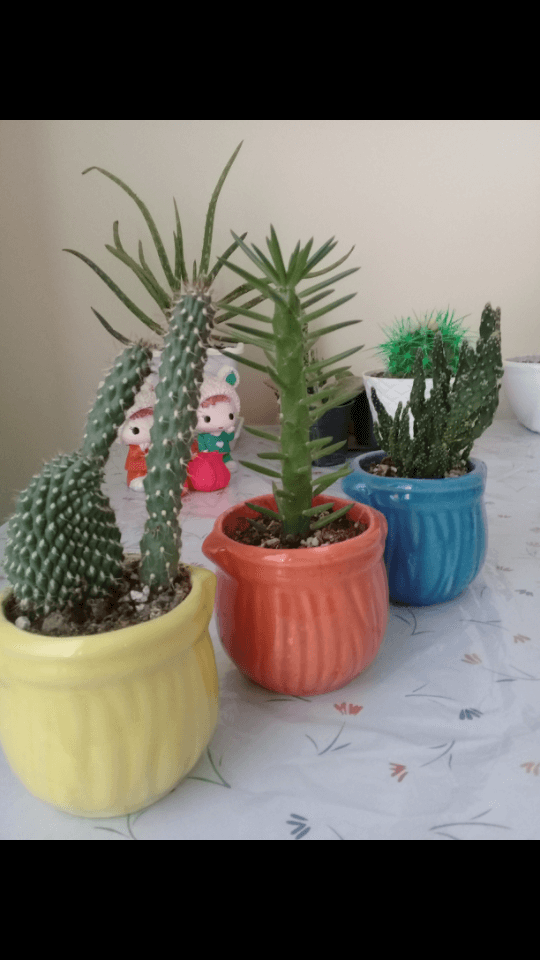 برای مشاهده کلیک کنید