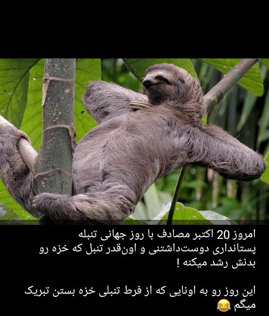 برای مشاهده کلیک کنید