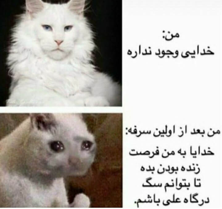 برای مشاهده کلیک کنید