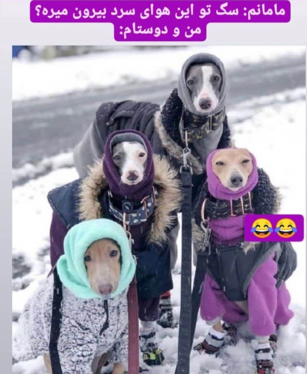 برای مشاهده کلیک کنید