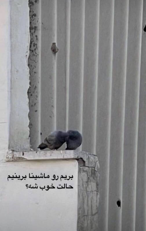 برای مشاهده کلیک کنید