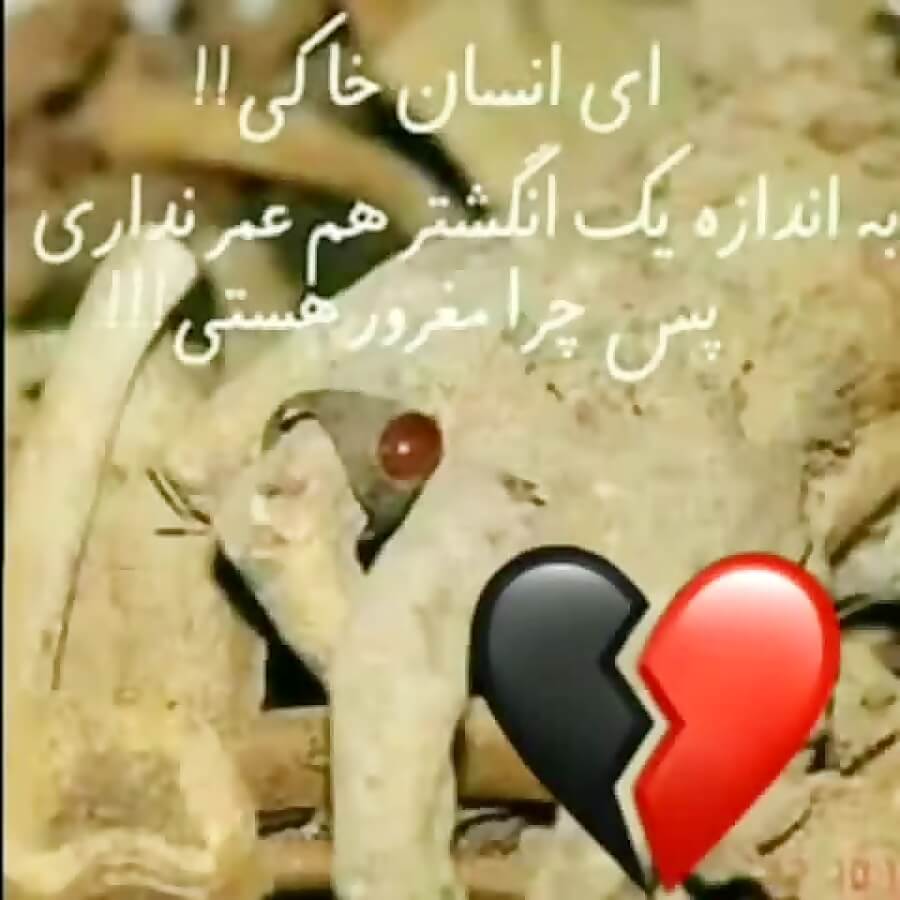 برای مشاهده کلیک کنید