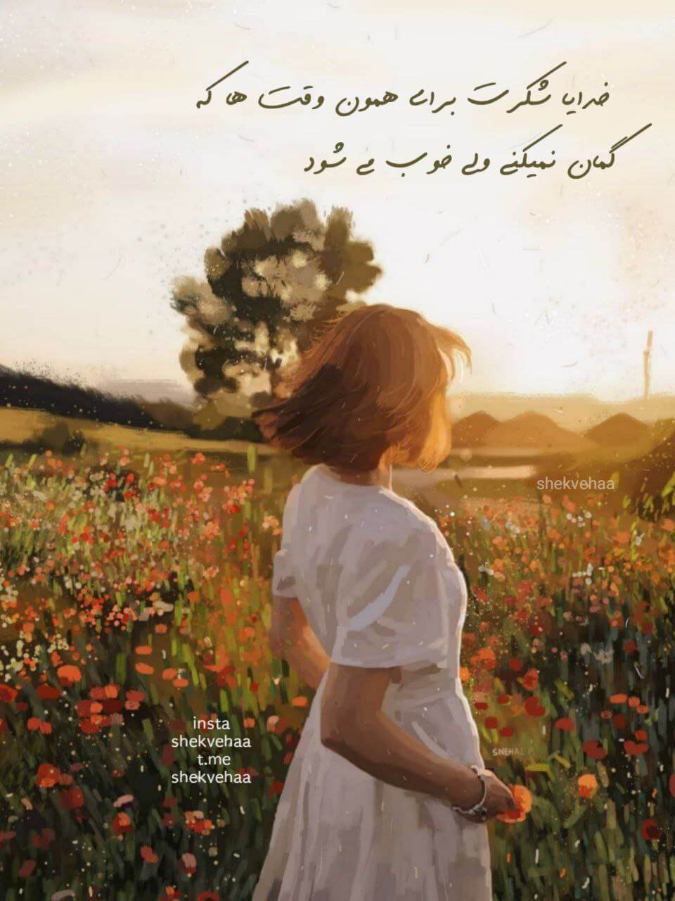 برای مشاهده کلیک کنید