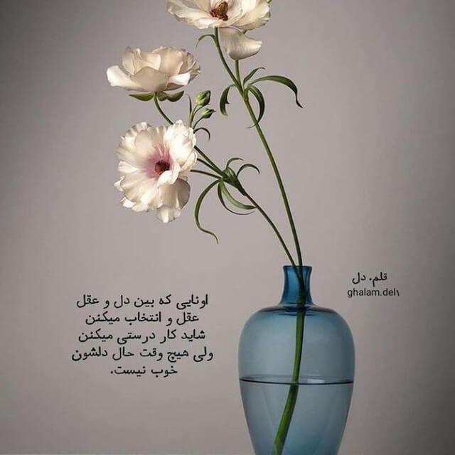 برای مشاهده کلیک کنید