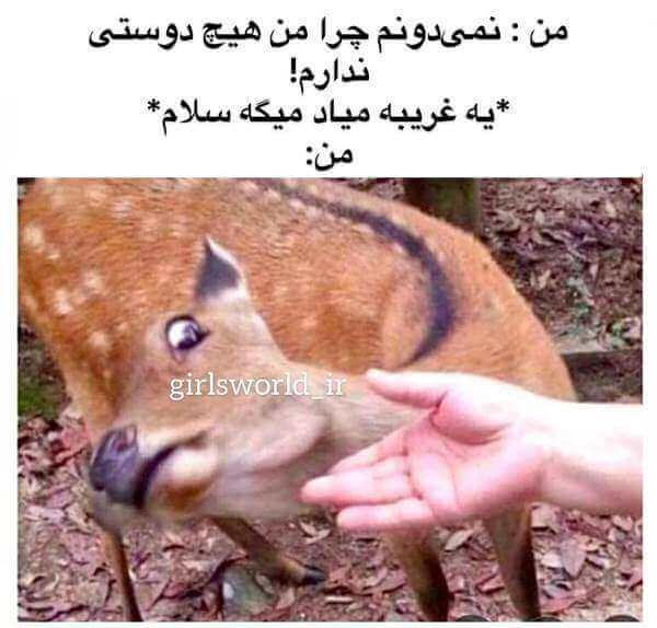 برای مشاهده کلیک کنید