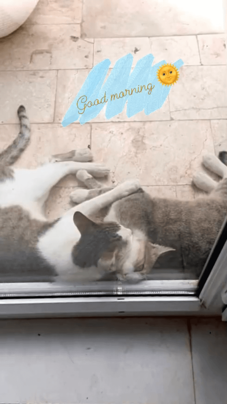 برای مشاهده کلیک کنید