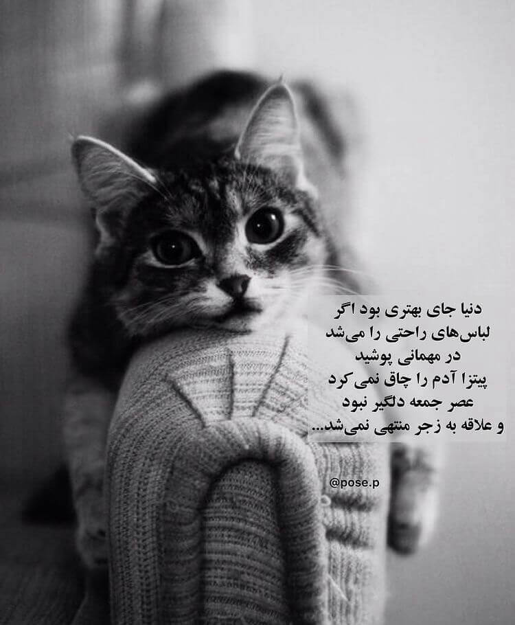 برای مشاهده کلیک کنید