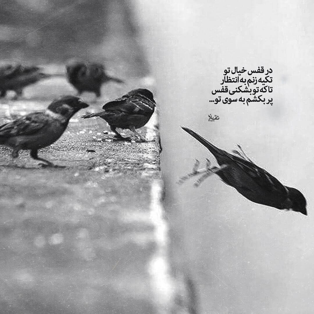 برای مشاهده کلیک کنید
