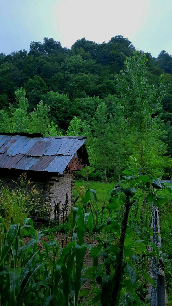 برای مشاهده کلیک کنید