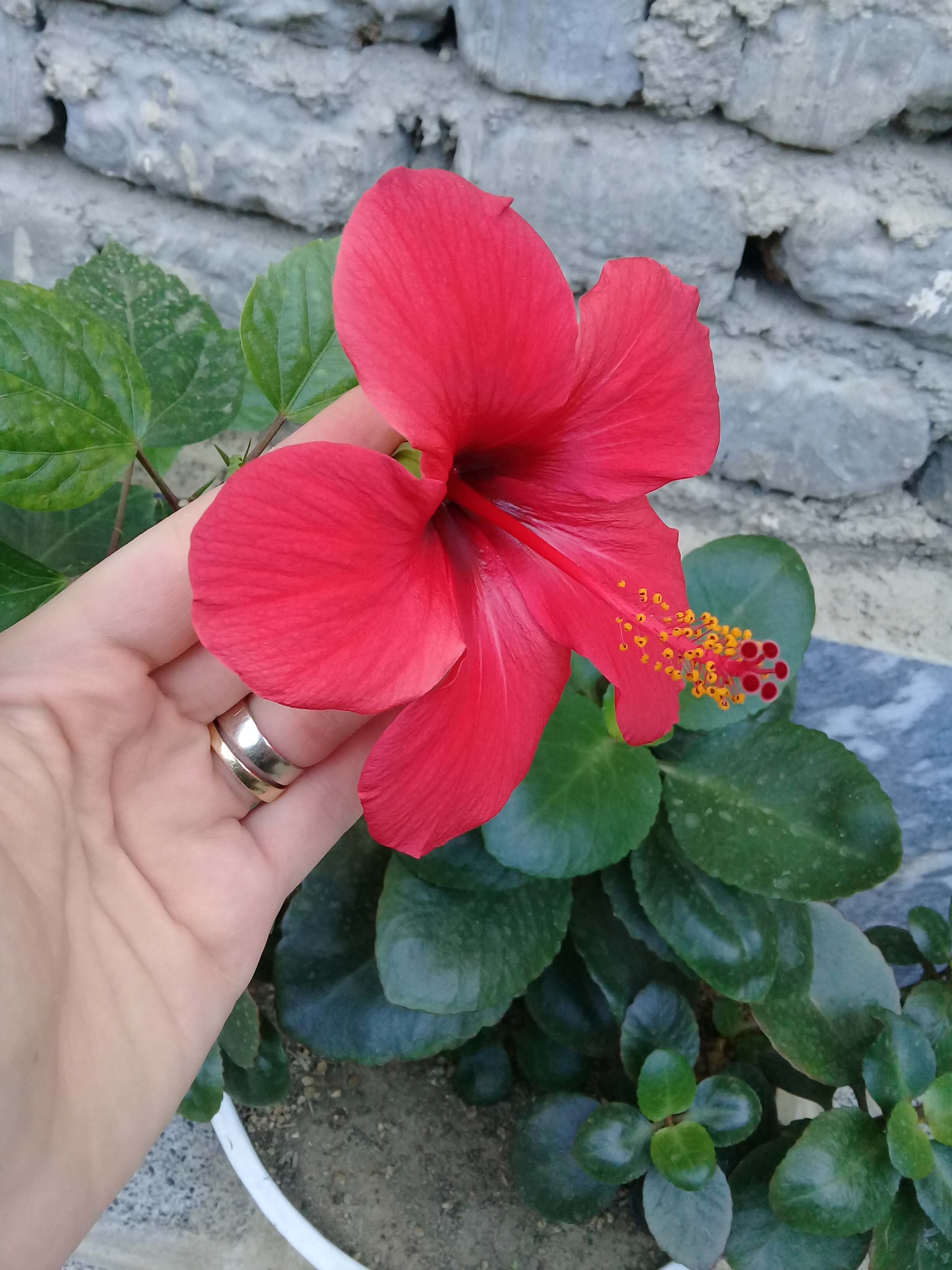 برای مشاهده کلیک کنید