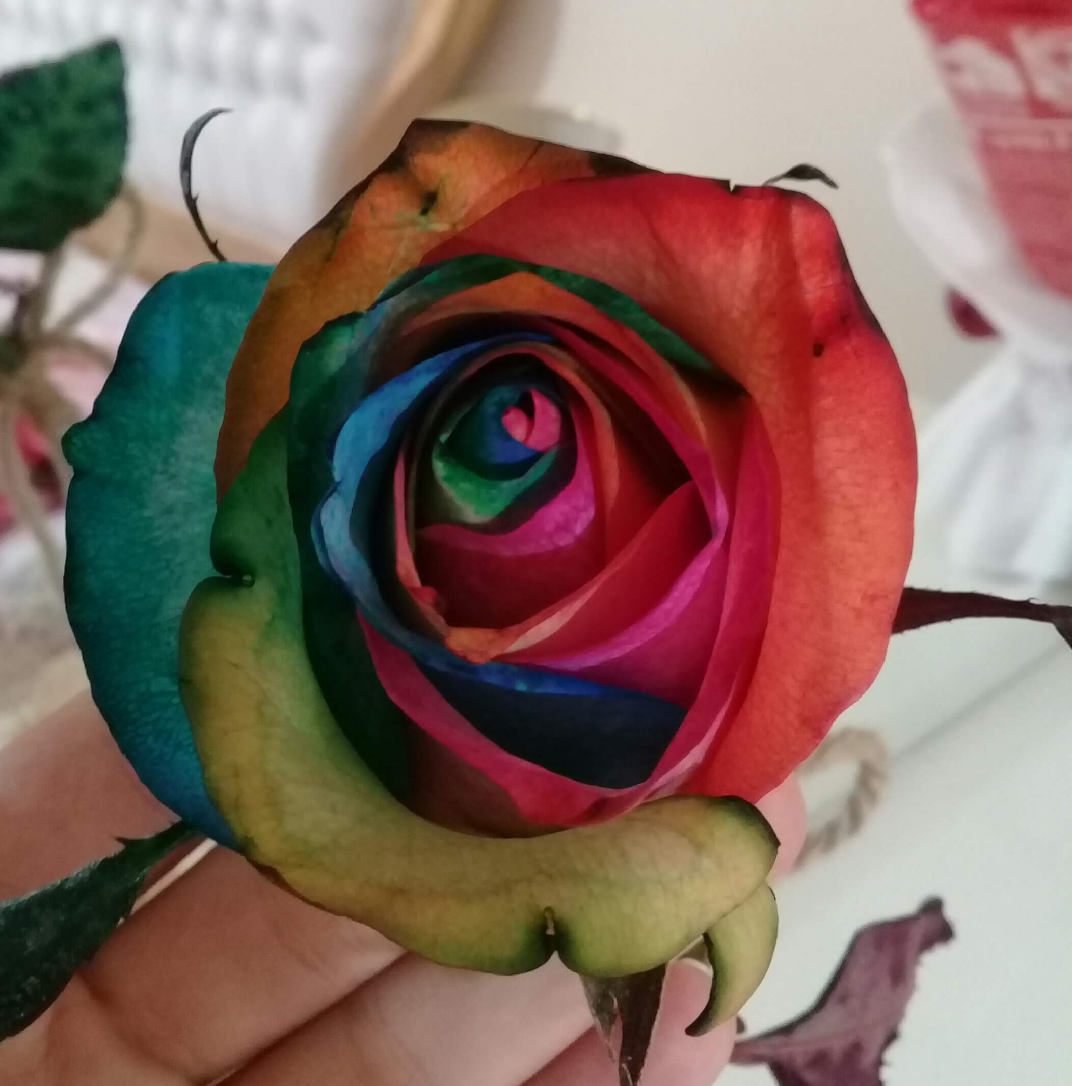 برای مشاهده کلیک کنید