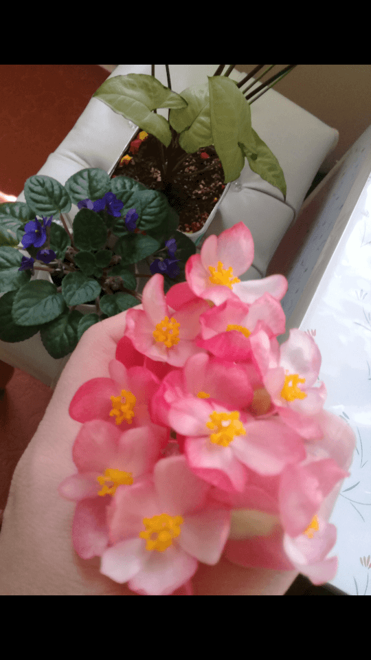 برای مشاهده کلیک کنید