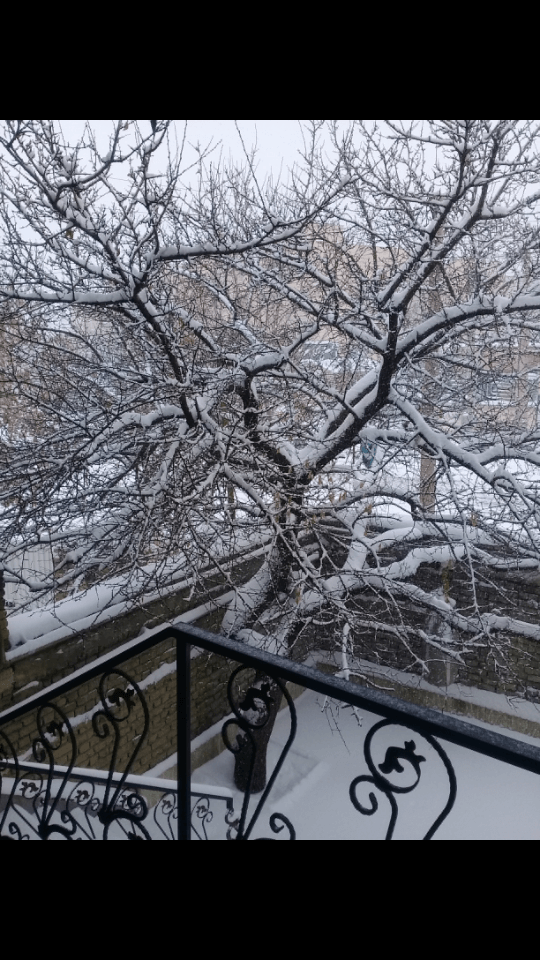 برای مشاهده کلیک کنید
