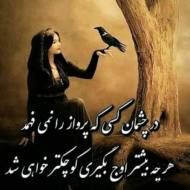 برای مشاهده کلیک کنید