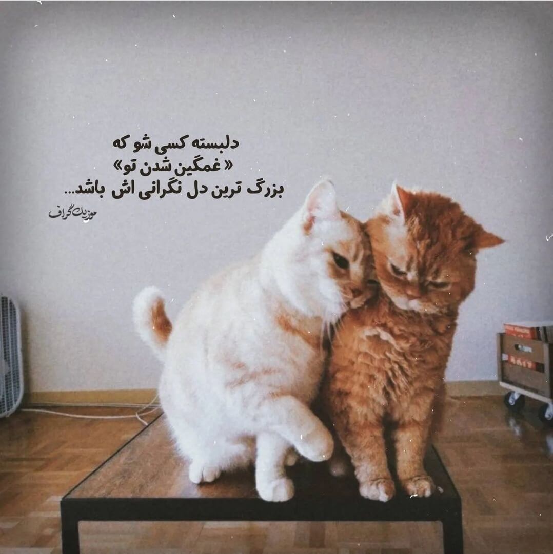 برای مشاهده کلیک کنید