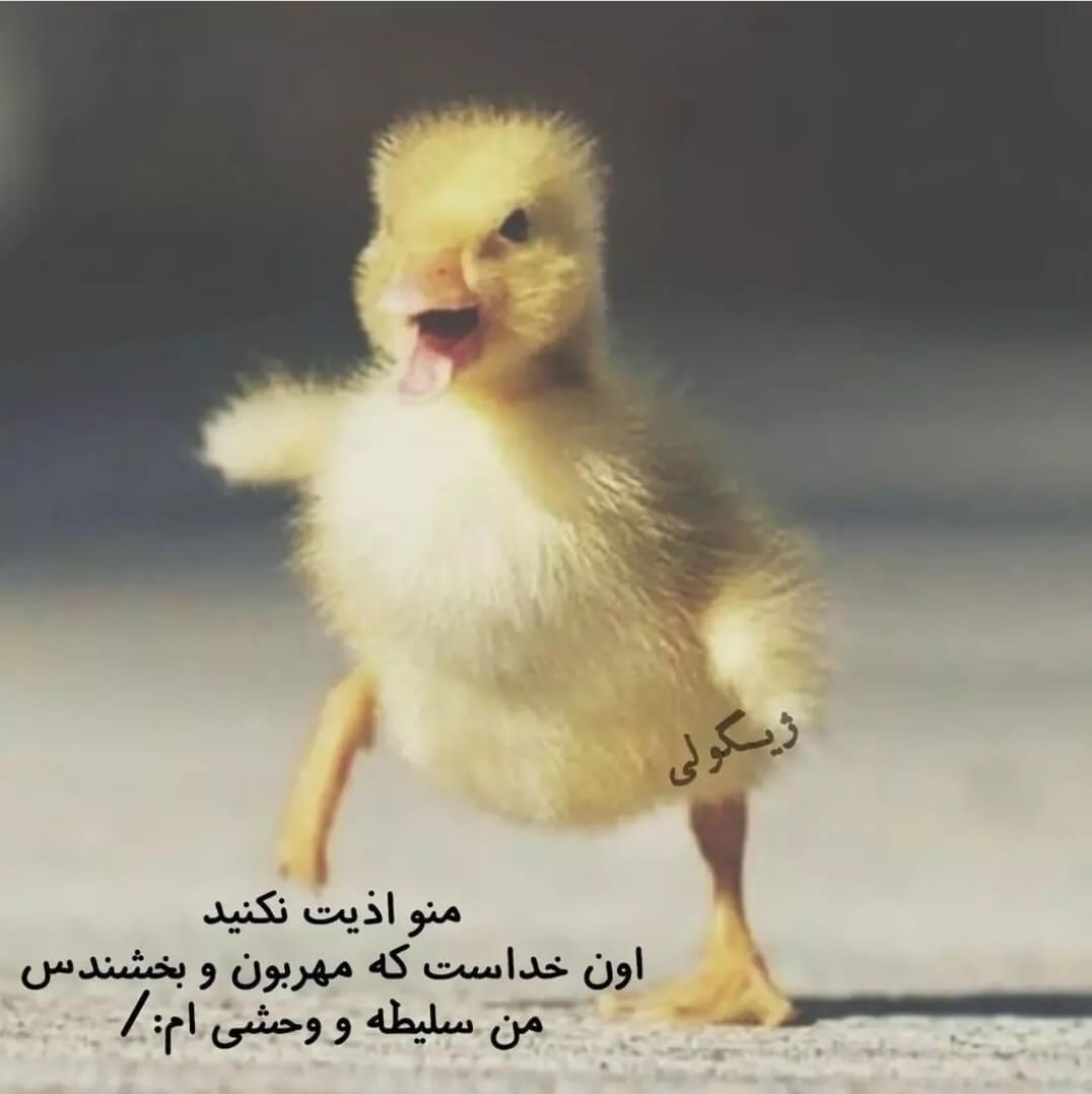 برای مشاهده کلیک کنید