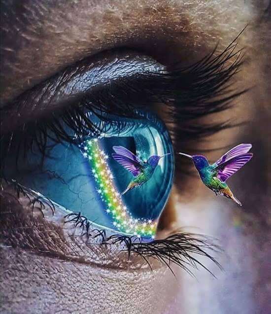 برای مشاهده کلیک کنید