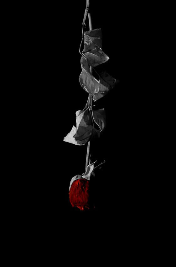 برای مشاهده کلیک کنید