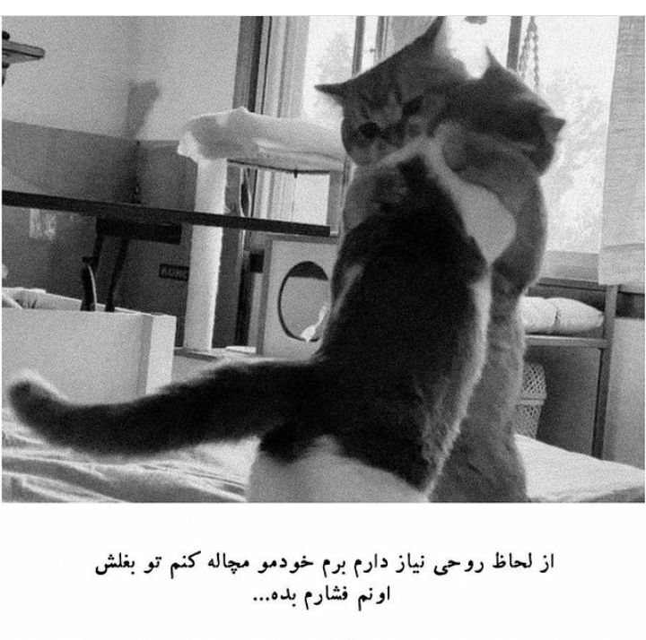 برای مشاهده کلیک کنید