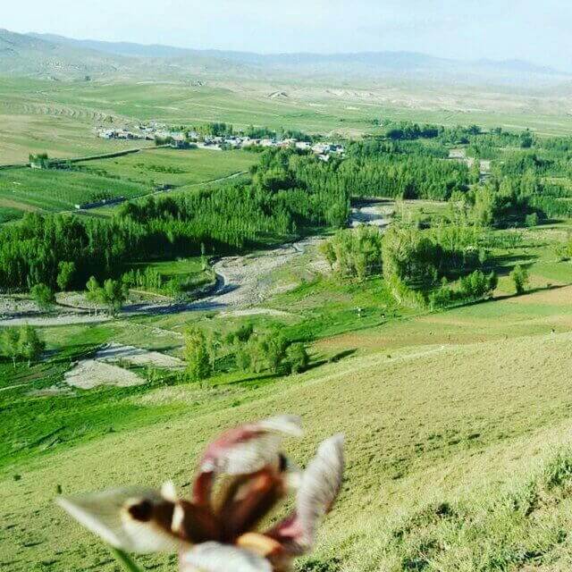 برای مشاهده کلیک کنید