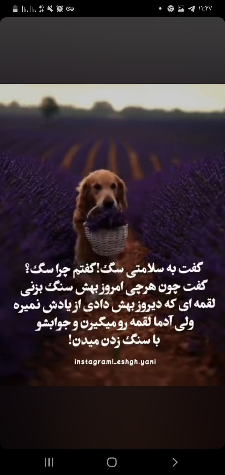 برای مشاهده کلیک کنید