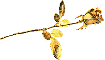 برای مشاهده کلیک کنید