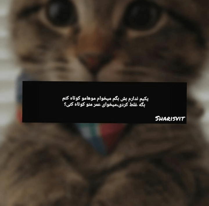 برای مشاهده کلیک کنید