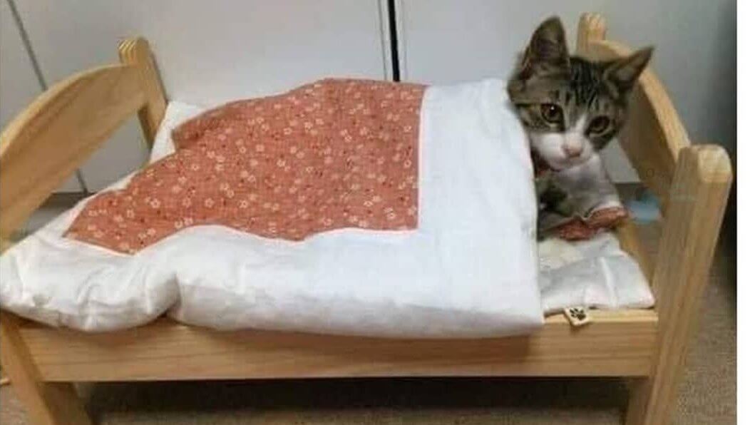 برای مشاهده کلیک کنید