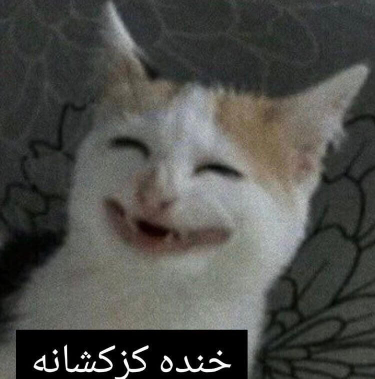 برای مشاهده کلیک کنید