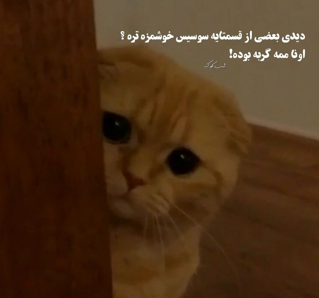 برای مشاهده کلیک کنید