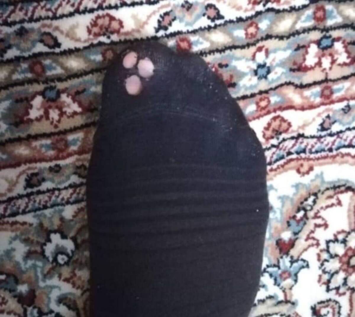 برای مشاهده کلیک کنید