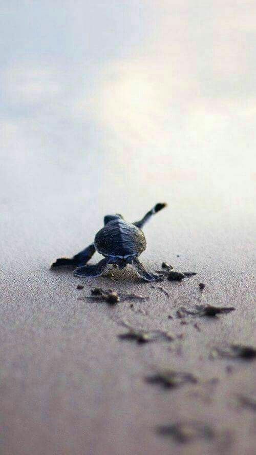 برای مشاهده کلیک کنید