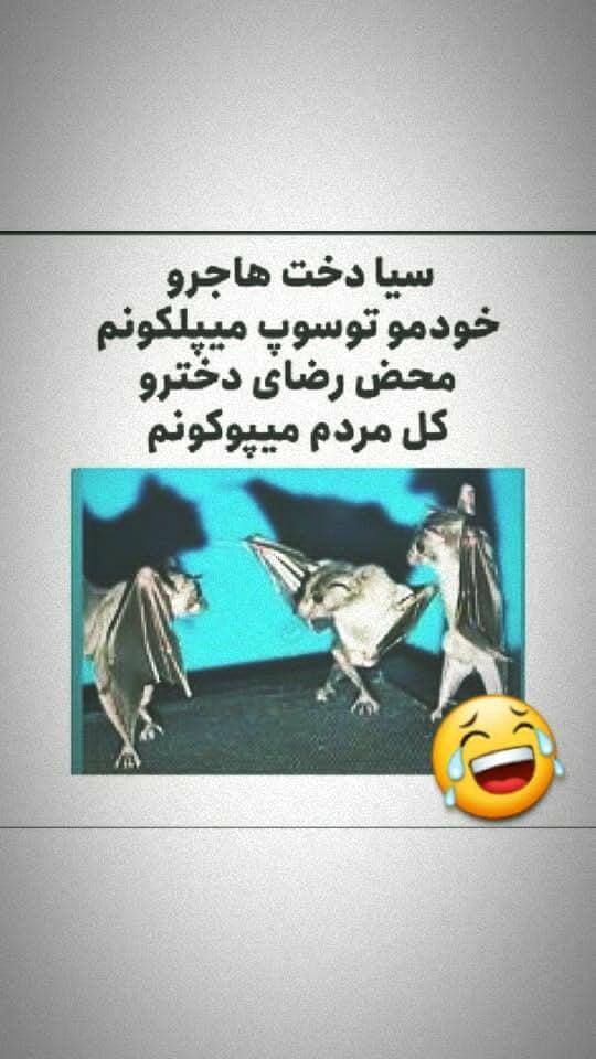 برای مشاهده کلیک کنید