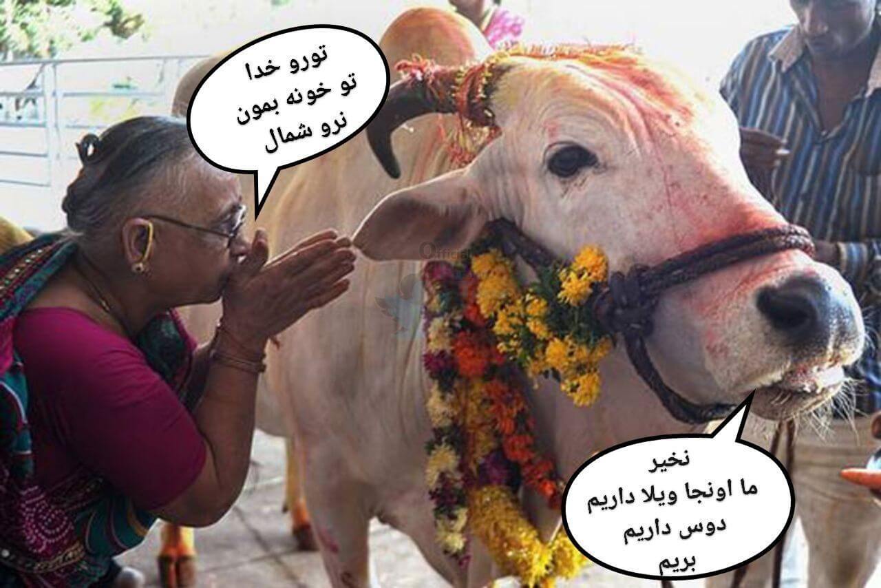 برای مشاهده کلیک کنید