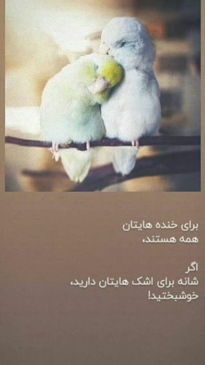 برای مشاهده کلیک کنید