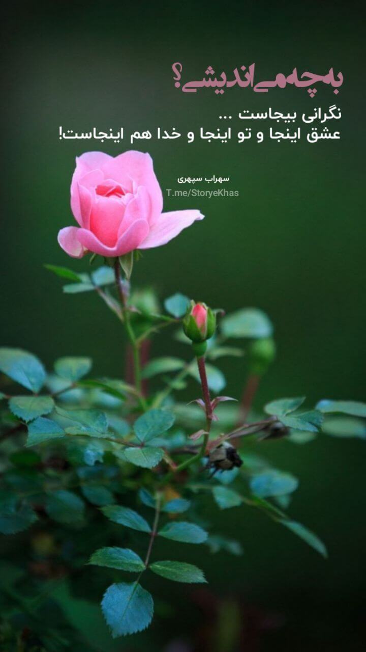 برای مشاهده کلیک کنید