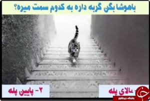 نمایش عکس